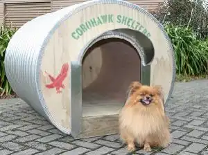 DK_L Dogs_ASL3 (3)-web-300x225-HP