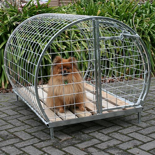 Dog Round Run - Medium Dogs