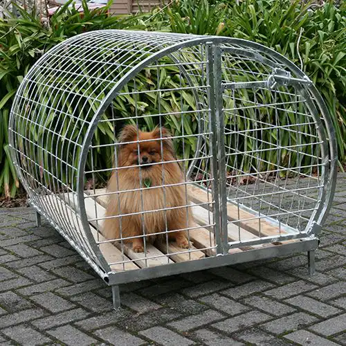 Dog Round Run - Medium Dogs